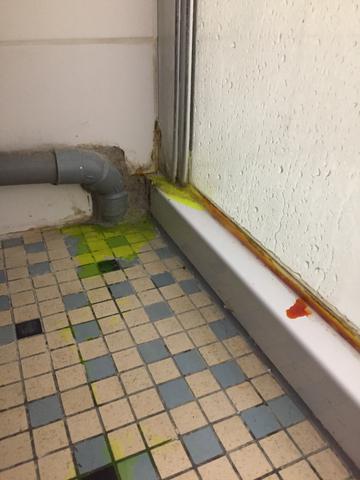 Dégât des eaux 11